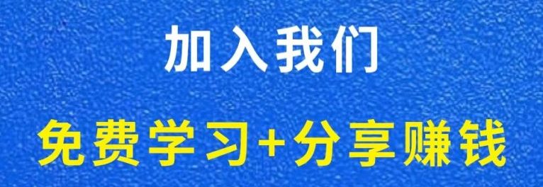 白菜价解锁20000+N个赚钱机会，加入轻创终点站会员，全站资源免费学习。-余鲤网创