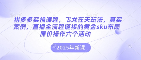 拼多多实操课程,飞龙在天玩法,真实案例,直播全流程链接的黄金sku布局原价操作六个活动-余鲤网创