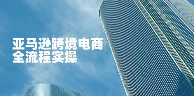 (14252期)亚马逊跨境电商全流程实操,教你从零开始,掌握店铺运营与广告技巧-余鲤网创
