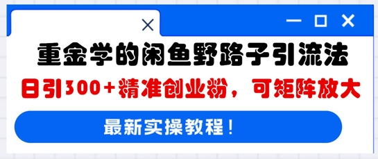 重金学的闲鱼野路子引流法,日引300+精准创业粉,可矩阵放大-余鲤网创