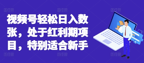 视频号轻松日入数张,处于红利期项目,特别适合新手-余鲤网创