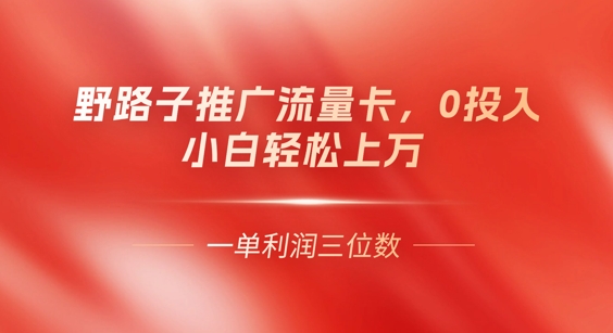 0门槛推广流量卡,一单收益上百,0投入,小白月入过W-余鲤网创