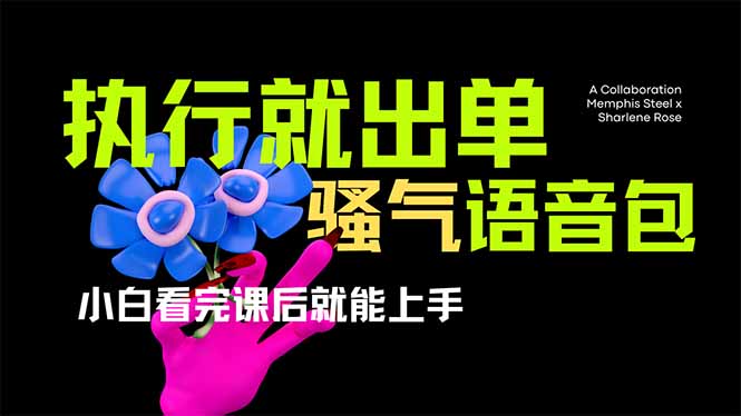 (14170期)爆火全网的开车导航骚气语音包,只要执行就出单,小白看完课程就能实操...-余鲤网创