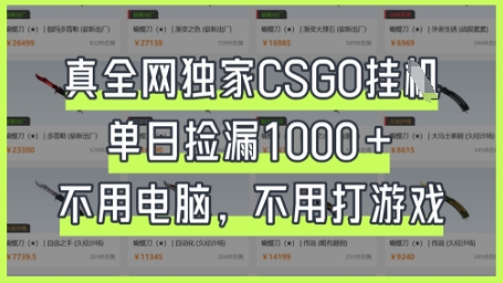 真全网独家CSGO挂G,单日捡漏1k+【揭秘】-余鲤网创