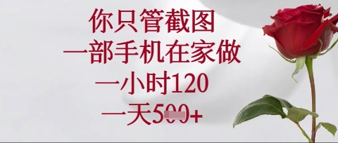 你只管截图,一部手机在家操作,一小时120.一天5张【揭秘】-余鲤网创