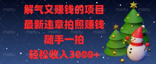 解气又挣钱的项目,最新违章拍照挣钱,随手一拍,轻松收入数张【揭秘】-余鲤网创